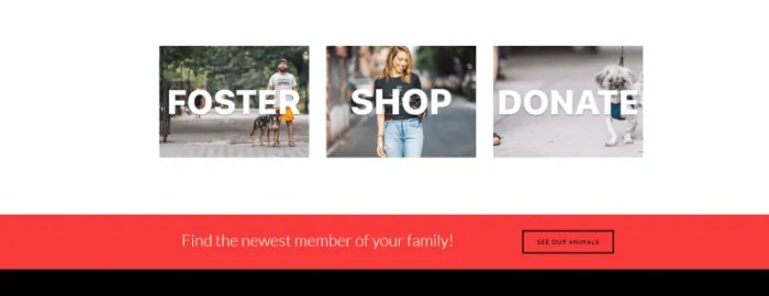 How strengthening the value proposition of a homepage donation CTA ...